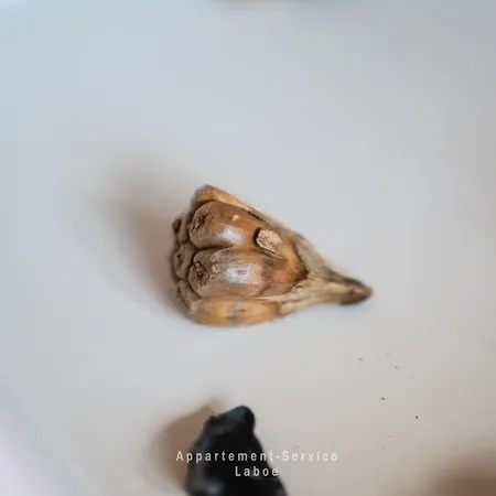 Nautic W08 Apartment Laboe